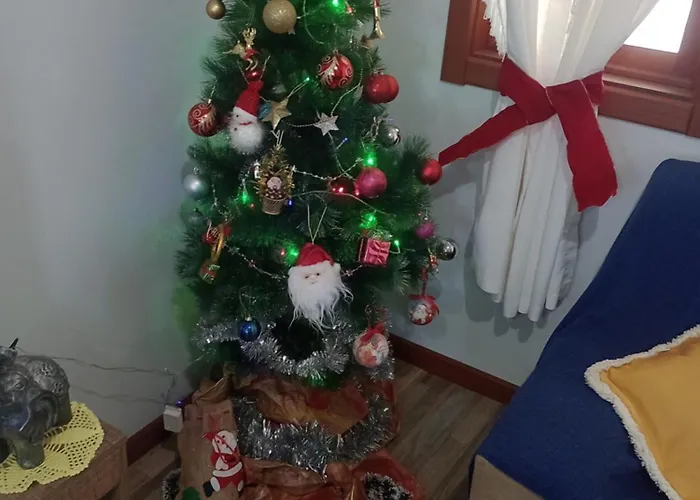 Aconchego Da Carol